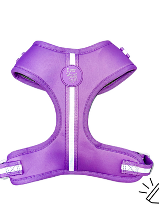 Shine Bright - Amethyst Adjustable Harness - Pup List