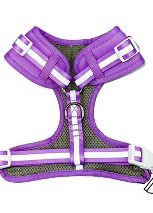Shine Bright - Amethyst Adjustable Harness - Pup List