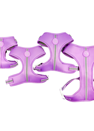 Shine Bright - Amethyst Adjustable Harness - Pup List