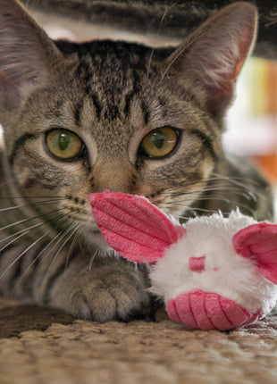 HuggleKats® Dust Bunnies Cat Toys, 3 Pack - Pup List