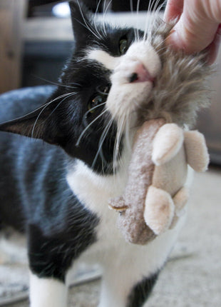 HuggleKats® Wee Fellar Squirrelie Cat Toy - Pup List