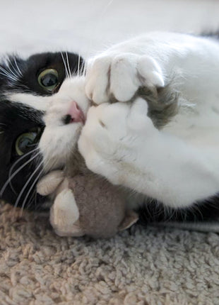 HuggleKats® Wee Fellar Squirrelie Cat Toy - Pup List