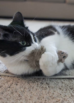 HuggleKats® Wee Fellar Squirrelie Cat Toy - Pup List