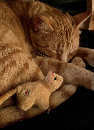 HuggleKats® Wee Squooshie™ Mice Cat Toys, 2 Pack - Pup List