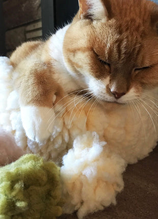 HuggleKats® FlufferFleece™ Ballies Plush Cat Toys, 3 Pack - Pup List