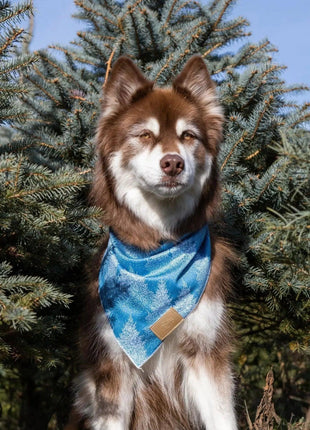 Siberian Spruce Dog Bandana