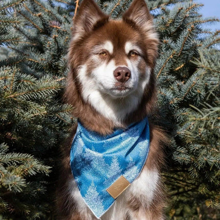 Siberian Spruce Dog Bandana