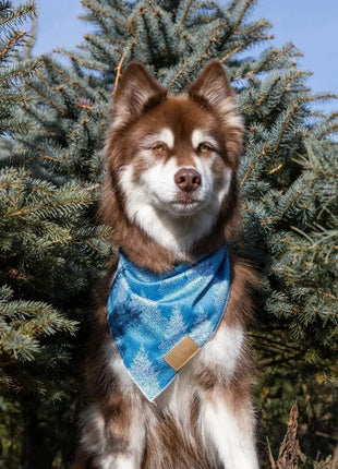 Siberian Spruce Dog Bandana & Matching Keychain