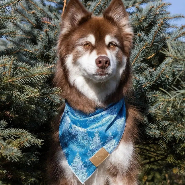 Siberian Spruce Dog Bandana & Matching Keychain