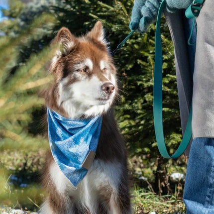 Siberian Spruce Dog Bandana