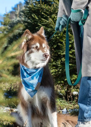Siberian Spruce Dog Bandana & Matching Keychain