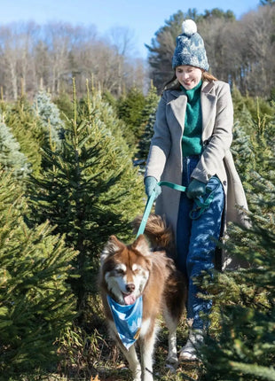 Siberian Spruce Dog Bandana & Matching Keychain