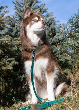 Siberian Spruce Waterproof Dog Leash