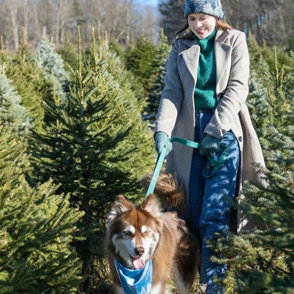 Siberian Spruce Waterproof Dog Leash
