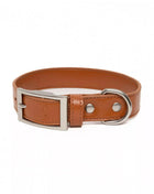 Sierra Sunrise Vegan Leather Dog Collar