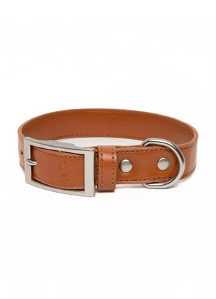 Sierra Sunrise Vegan Leather Dog Collar