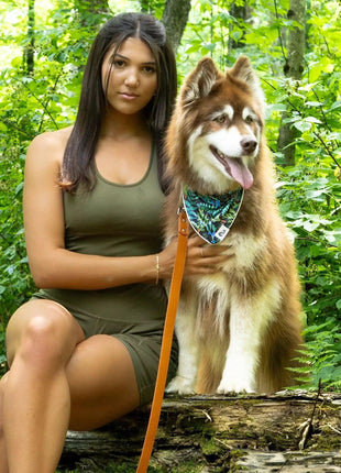 Sierra Sunrise Vegan Leather Dog Collar