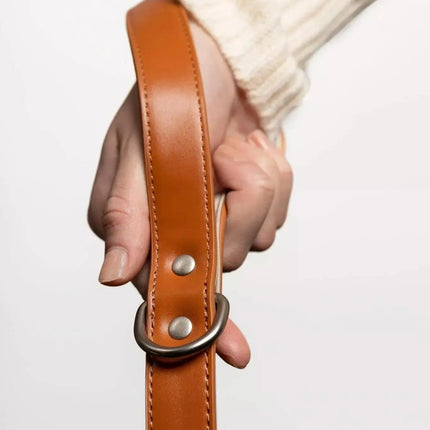 Sierra Sunrise Vegan Leather Dog Leash