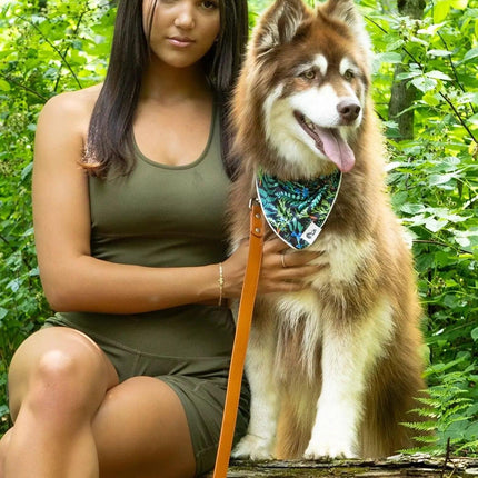 Sierra Sunrise Vegan Leather Dog Leash