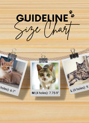 Phoenix Sambboho cat collar