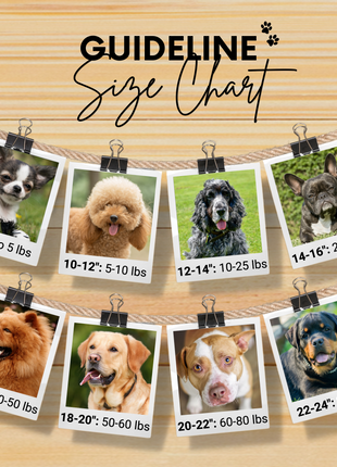 Maui Sambboho dog collar (made to order)