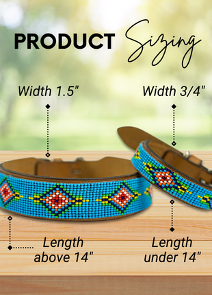 Blue Vogue Sambboho dog collar
