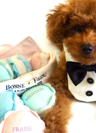 Plush Macaron Squeaky Dog Toy