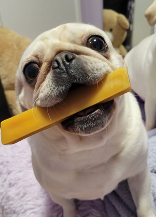 Himalayan Yak Chew (SMALL)