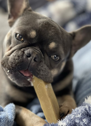 Himalayan Yak Chew (SMALL)