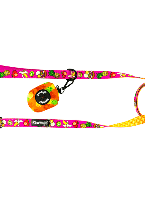 Snack Shack Leash Kit - Pup List