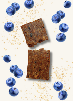 Blueberry & Oat Snack Bars