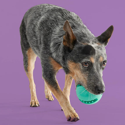Best Sellers Bundle - Pup List