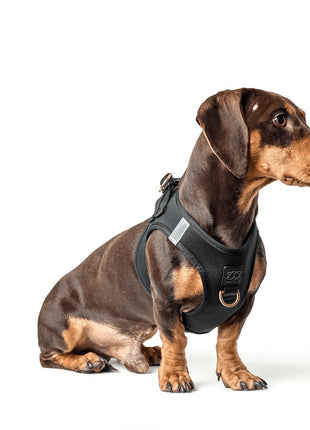 SoHo Dog Harness - Black