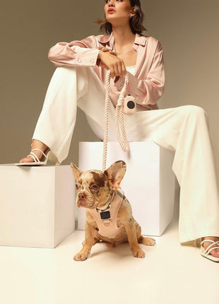 SoHo Dog Harness - Blush Pink