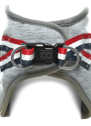 SoHo Dog Harness - Champion