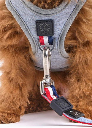 SoHo Dog Harness - Champion