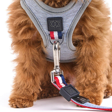 SoHo Dog Harness - Champion
