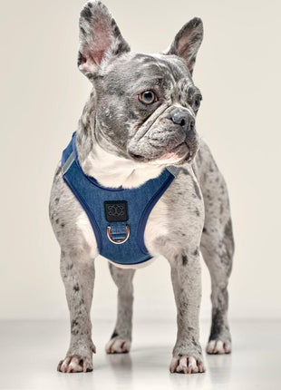 SoHo Dog Harness - Denim