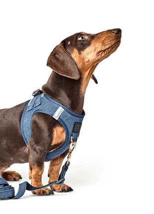 SoHo Dog Harness - Denim