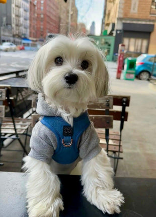 SoHo Dog Harness - Denim