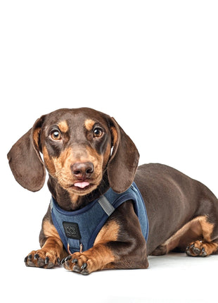 SoHo Dog Harness - Denim