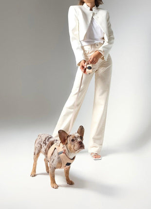 SoHo Dog Harness - Dune - Pup List