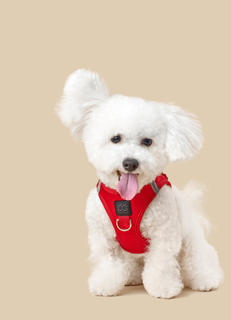 SoHo Dog Harness - Iconic Red