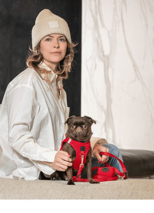 SoHo Dog Harness - Iconic Red