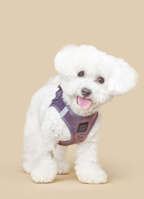 SoHo Dog Harness - Lilac Gray