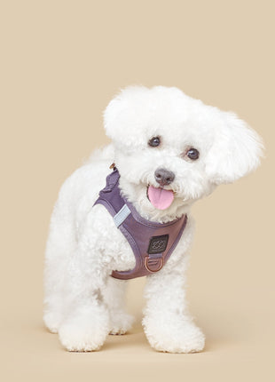 SoHo Dog Harness - Lilac Gray - Pup List
