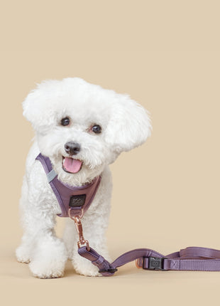 SoHo Dog Harness - Lilac Gray