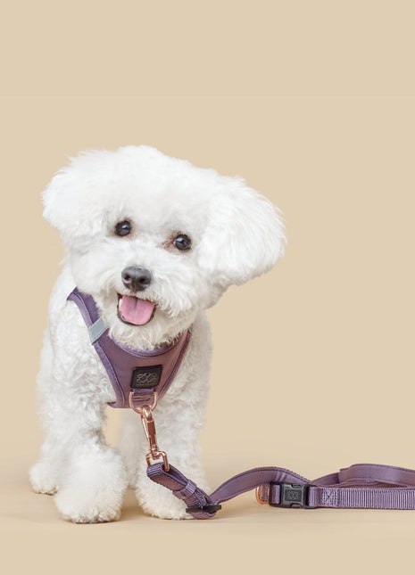 3-in-1 City Dog Leash - Lilac Gray