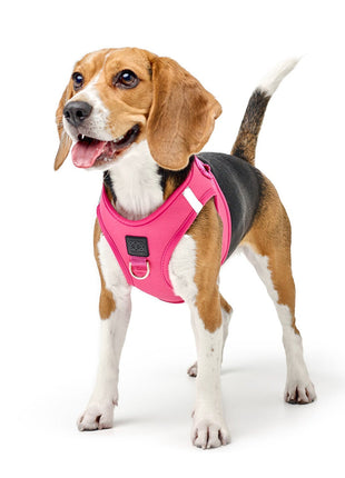 SoHo Dog Harness - Park Ave Pink
