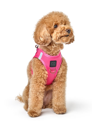 SoHo Dog Harness - Park Ave Pink
